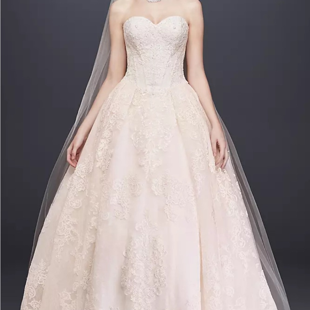 David's Bridal Whisper Pink Lace Wedding Dress and Veil